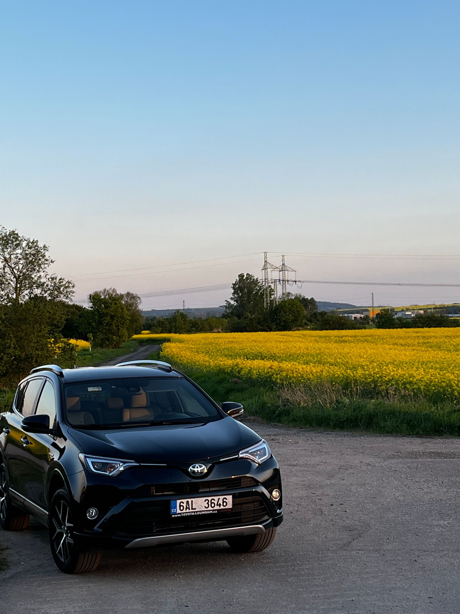 Black SUV in an open field